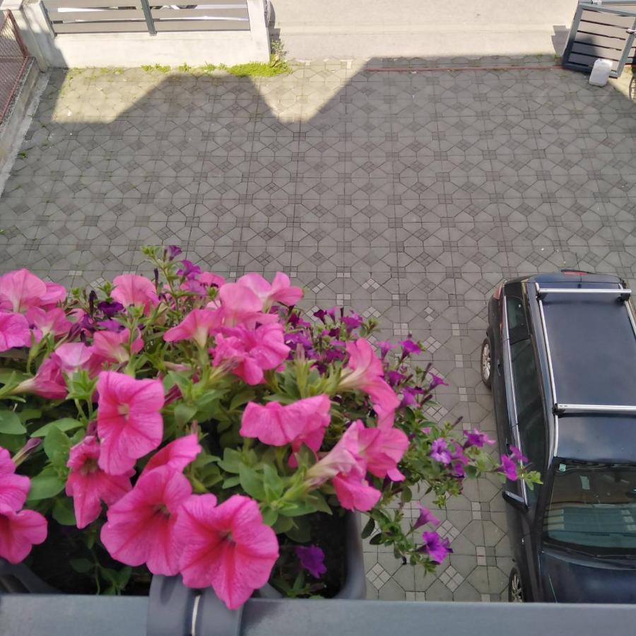 Apartman Zagreb , With Balcony And Free Parking Eksteriør billede